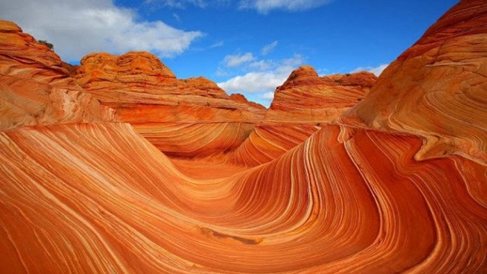 The Wave