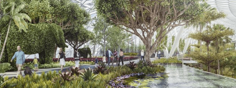 Canopy park: la nuova area di intrattenimento dell’aeroporto di Singapore