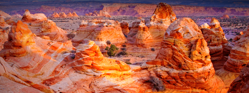 Scommettiamo il pass per Coyote Buttes ?