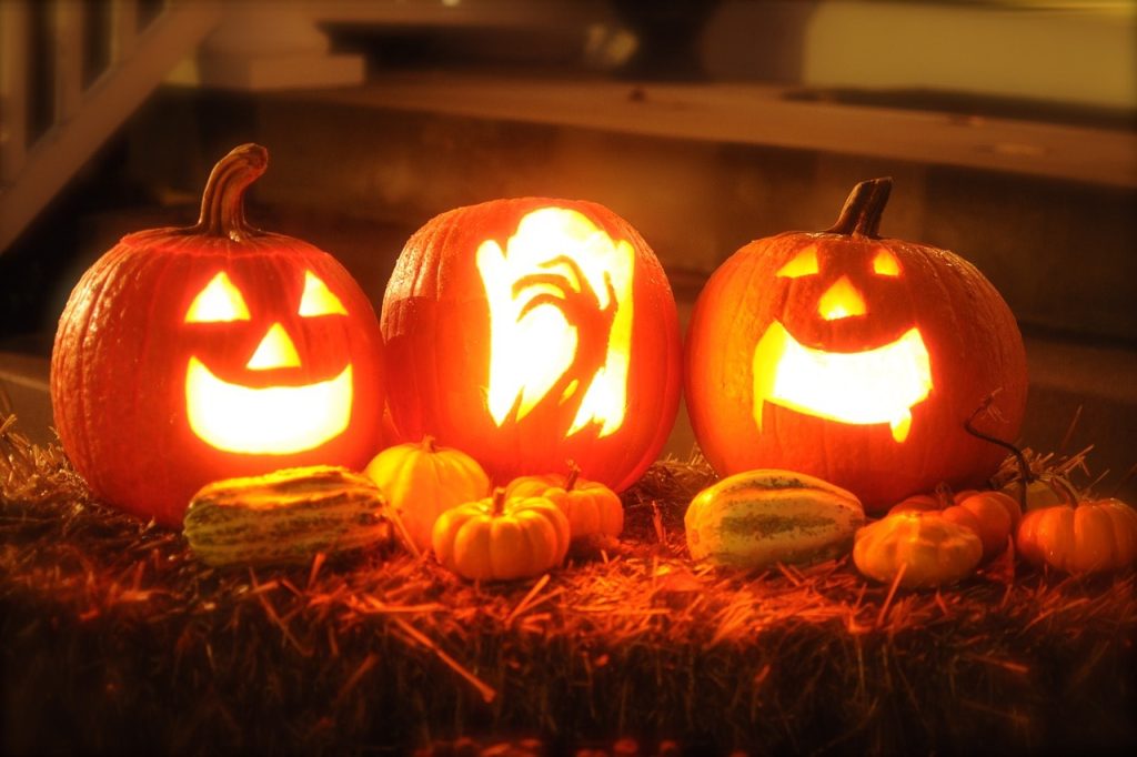 Zucche di Halloween