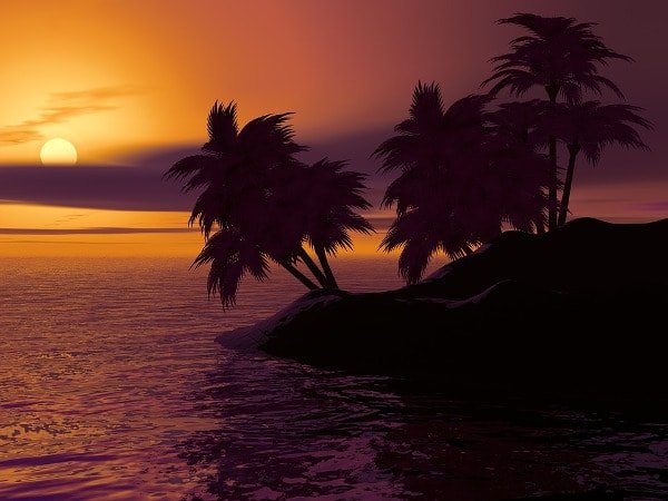 Palme ai Caraibi