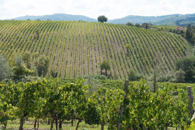 Colline del Chianti