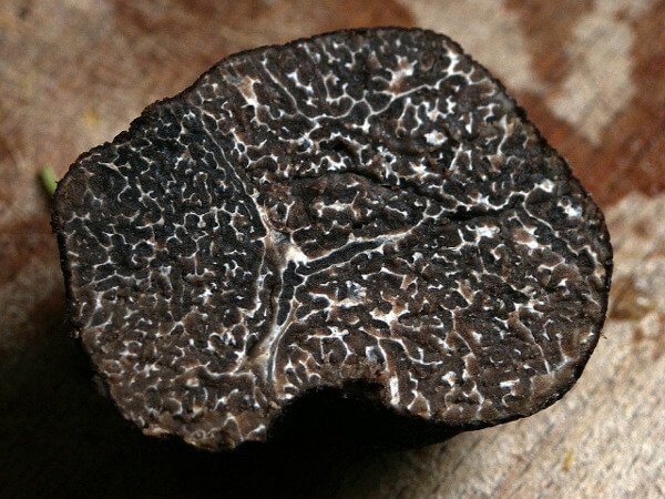Tartufo bianco di Alba