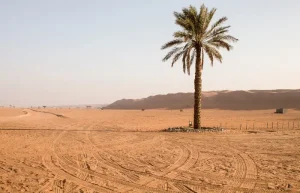 Oman : cosa vedere in sette giorni on the road