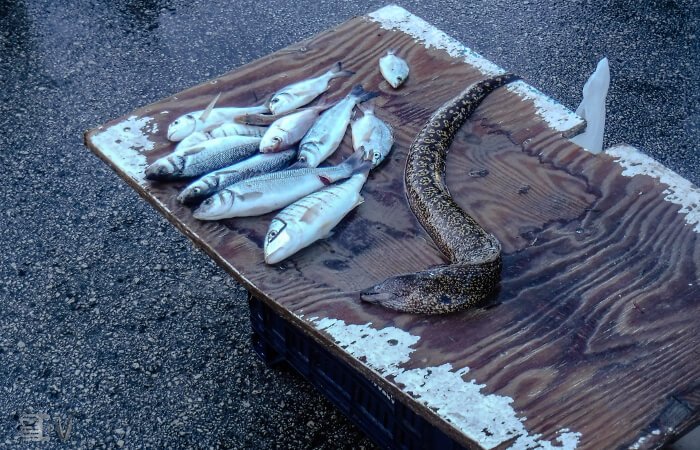 Mercato del Pesce di Siracusa