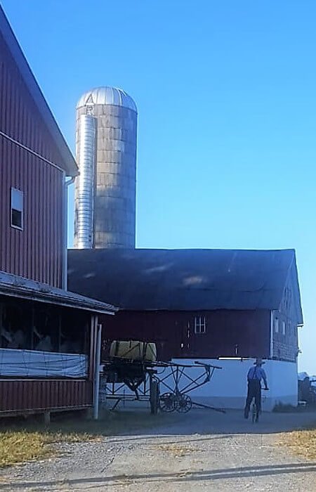 Amish