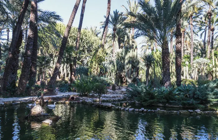 Parco di Elche