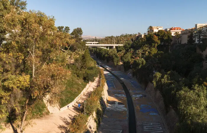 Palmeral de Elche