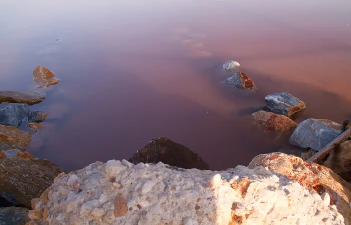Saline di Torrevieja