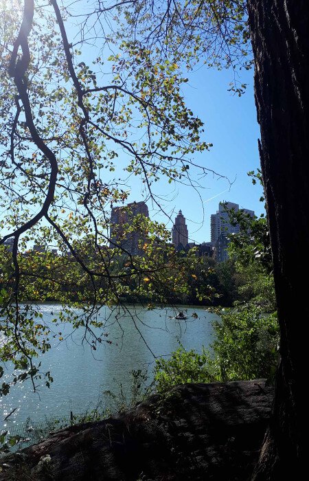 Central Park
