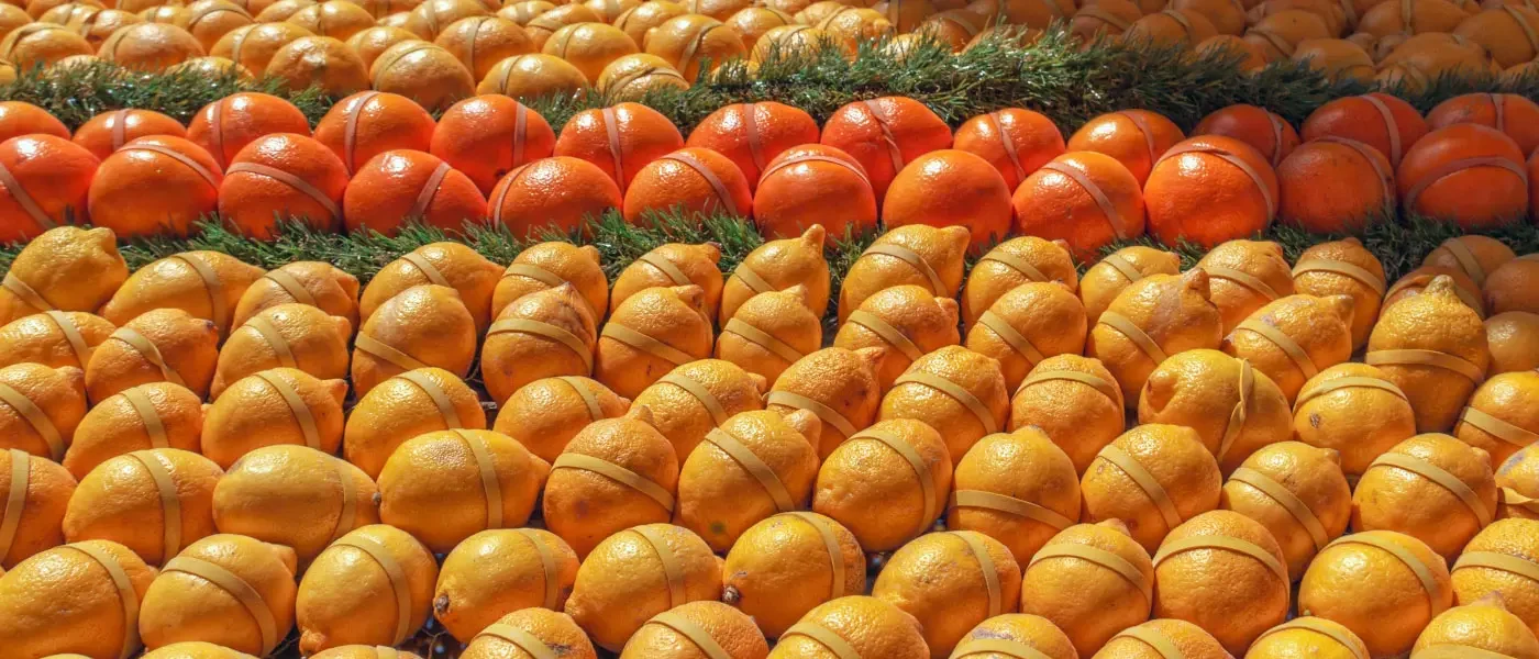 Festa dei Limoni di Mentone 2022