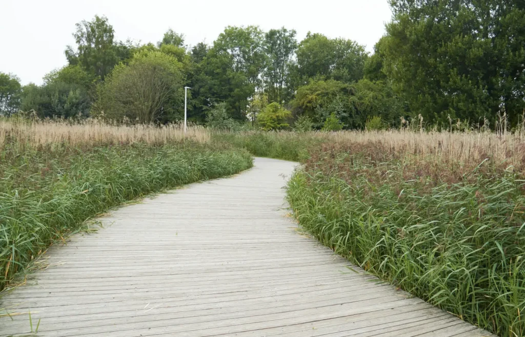 Sentiero di Helix Park