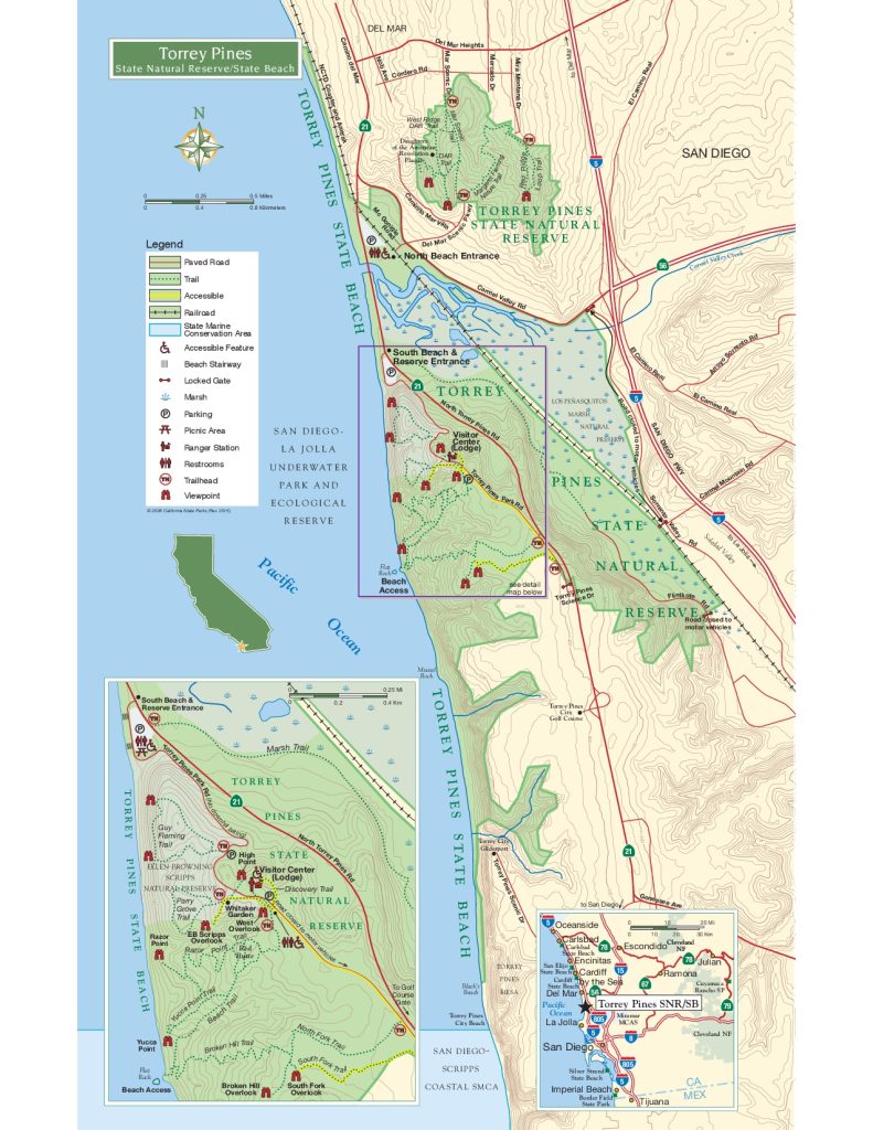 Torrey Pines Natural Reserve