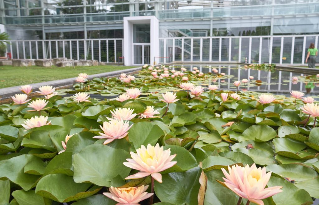 Orto Botanico di Padova