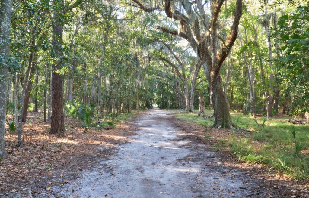 Wormsloe Savannah