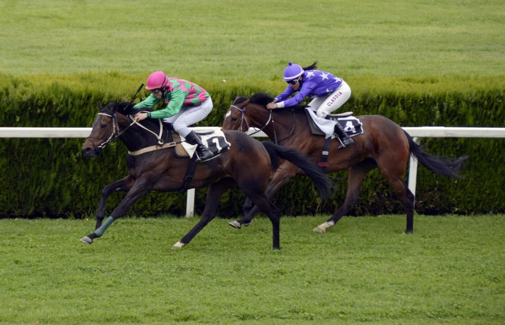 Cavalli al galoppo all'Adelaide Cup - eventi di marzo 2024