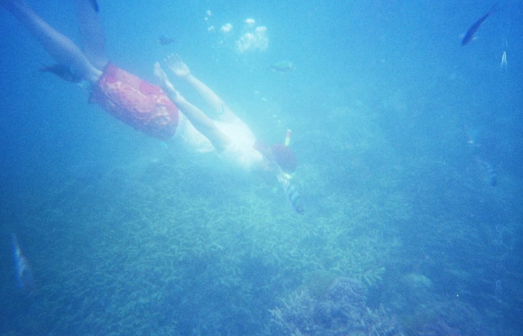 snorkeling