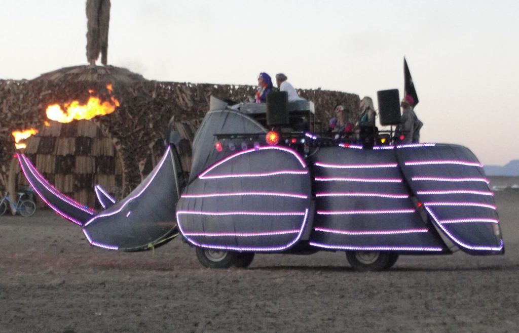 AfrikaBurn 2015
