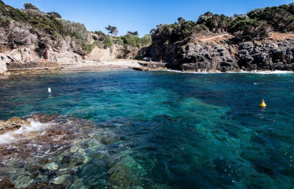 isola di giannutri 8