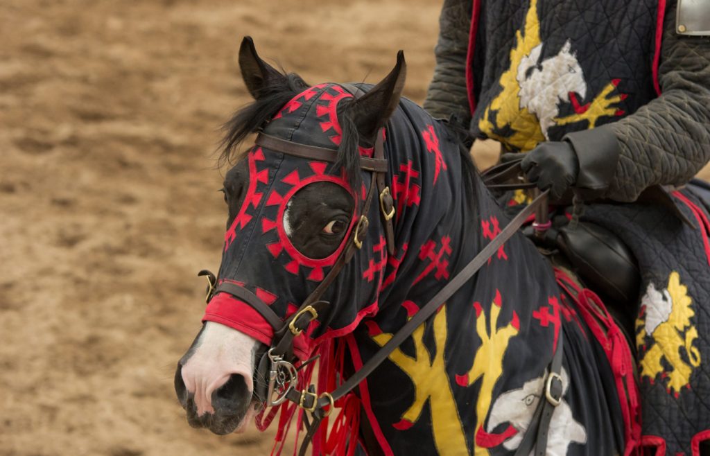 Cavallo durante una giostra medievale