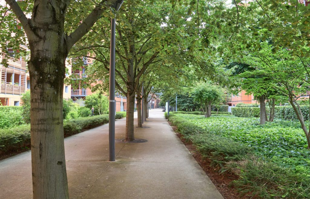 Parco Lione