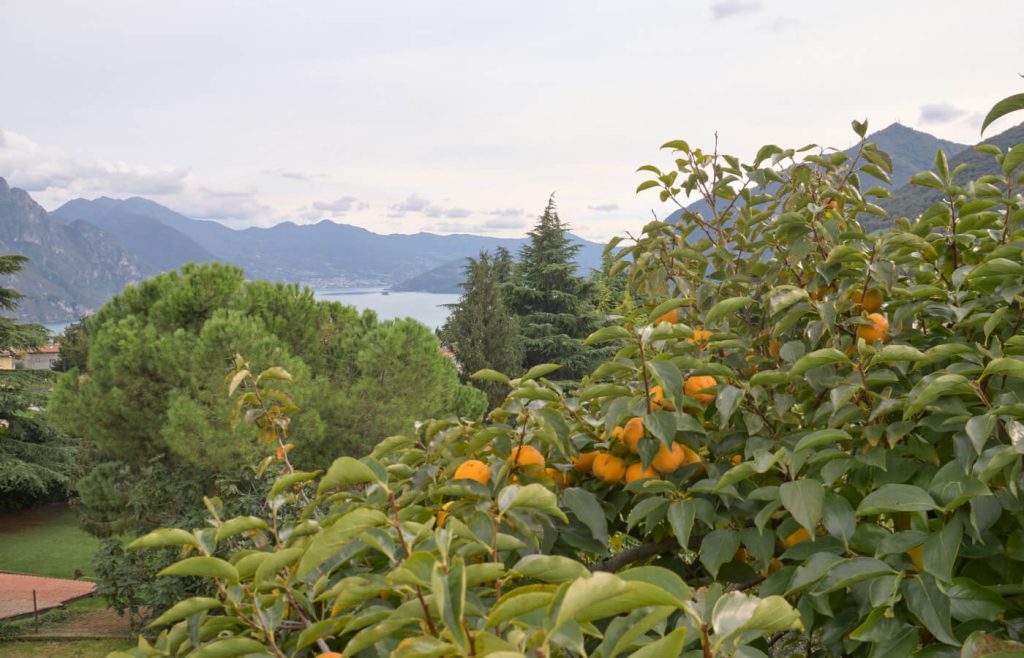Solto Collina Lago Iseo