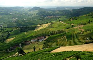 Le Langhe: un viaggio Slow nel cuore del Piemonte tra colline, vigneti e sapori autentici