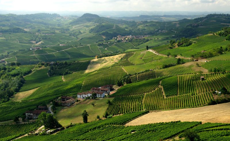Le Langhe: un viaggio Slow nel cuore del Piemonte tra colline, vigneti e sapori autentici