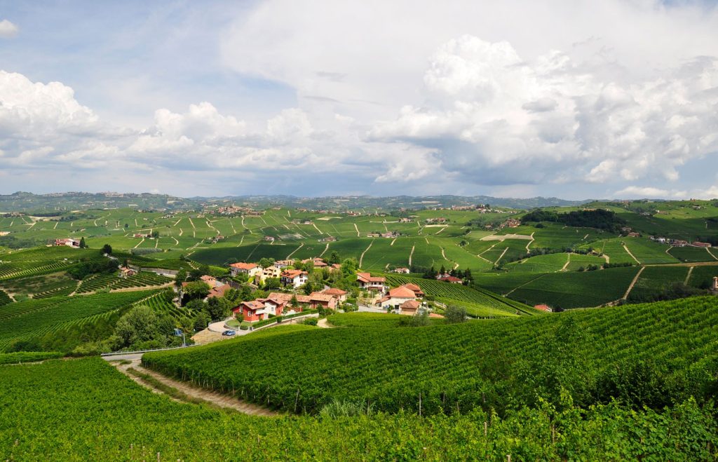 Paesaggio delle Langhe