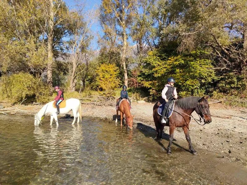 Passeggiata a cavallo con Holidoit