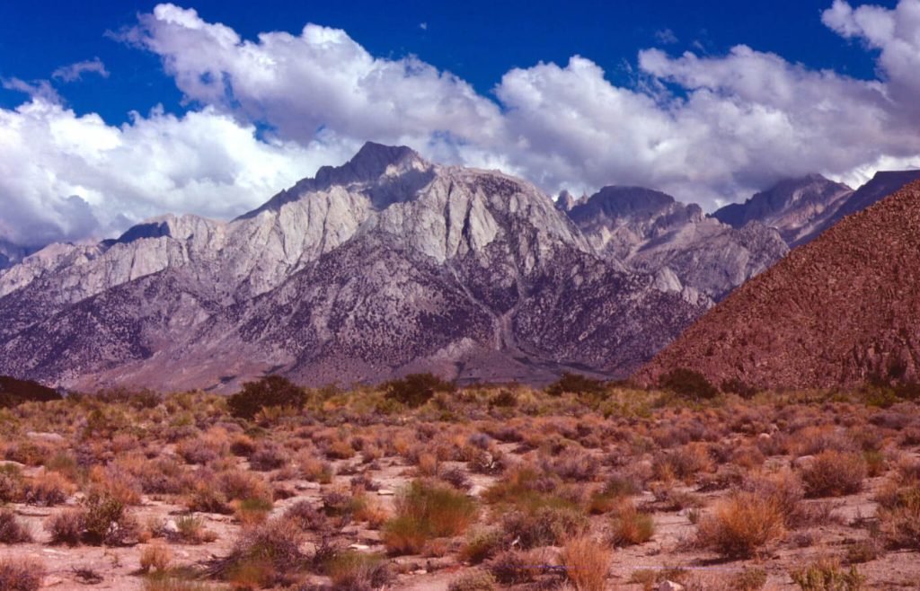 Lone Pine (CA)