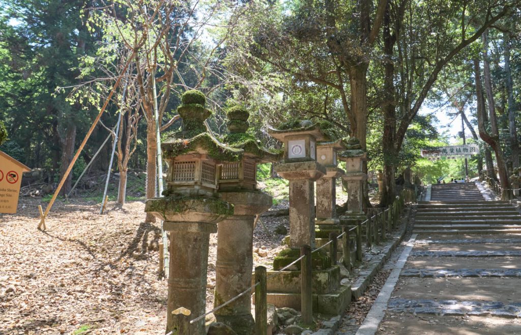 Kasuga Taisha Nara