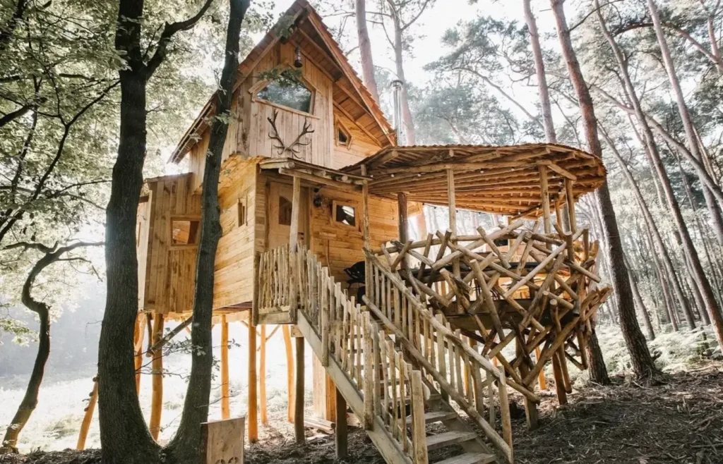 Casa sull albero alloggio glamping