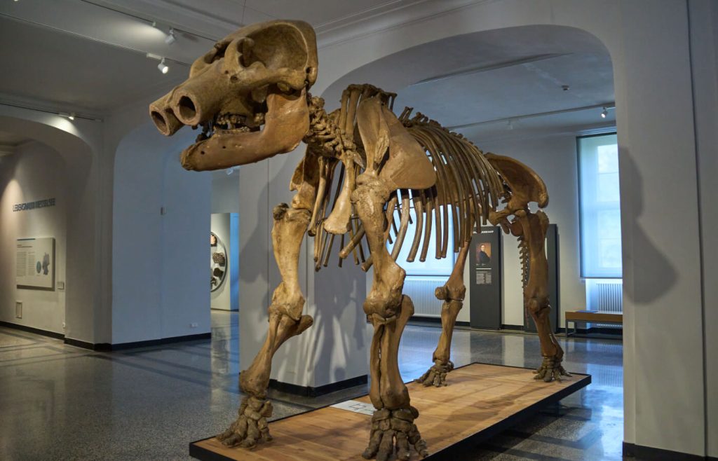 Museo statale di Darmstadt in Germania