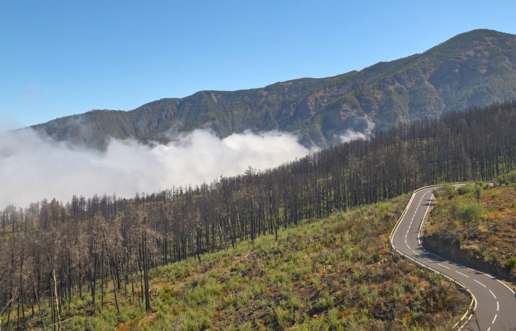 Strada per Santa Cruz de Tenerife