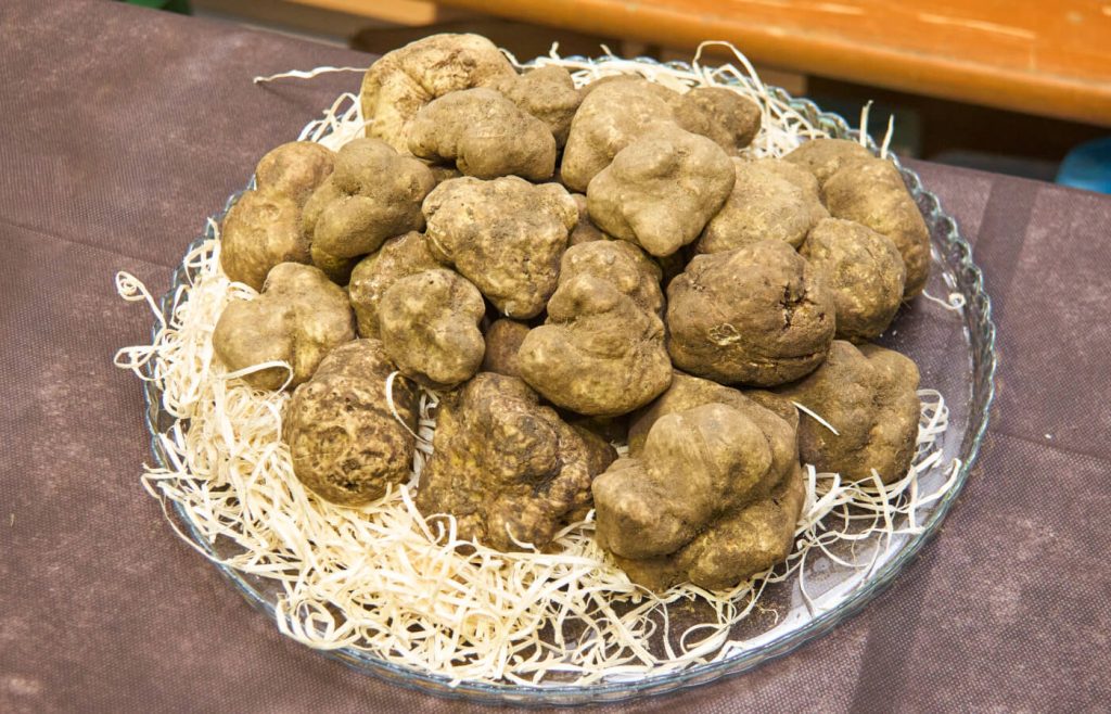 Tartufo Bianco