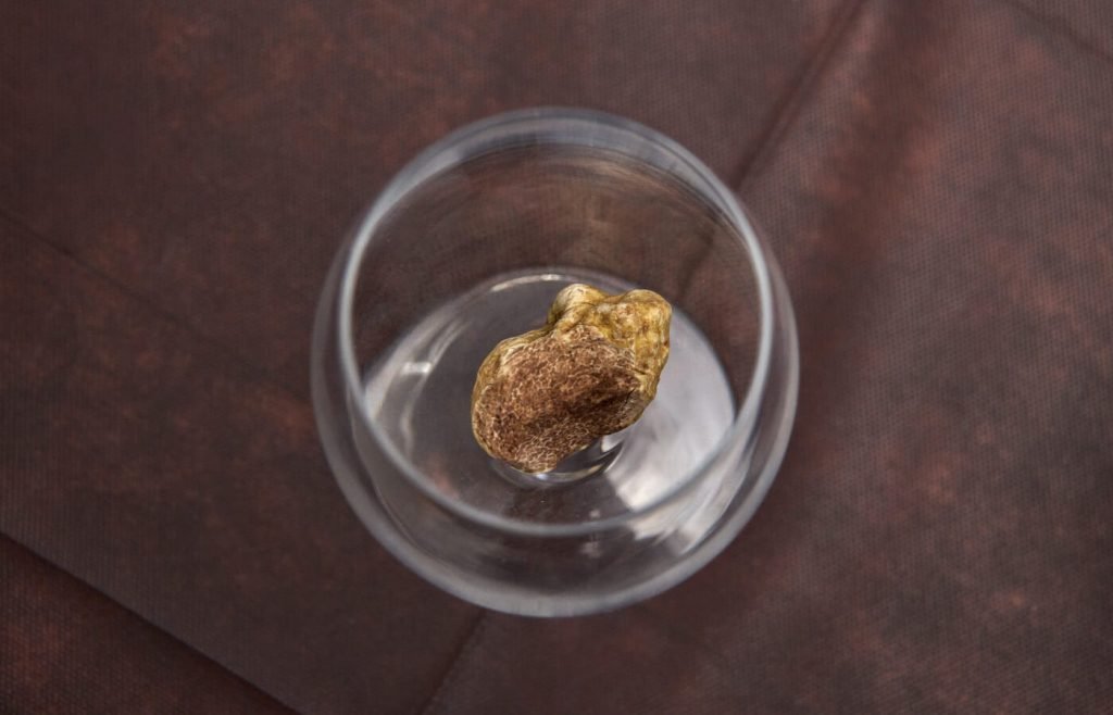 Tartufo Bianco di Venarotta